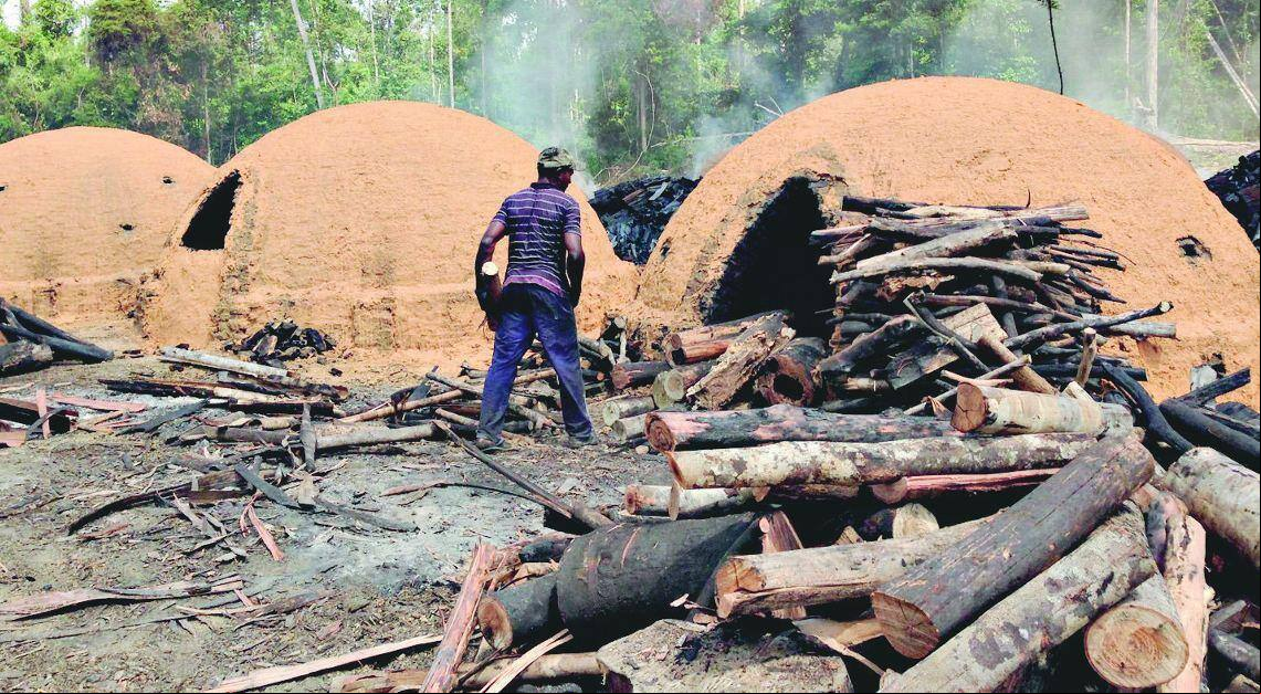Exploração A escravidão moderna no país é encontrada em vários setores da economia, entre eles o de produção de carvão vegetal